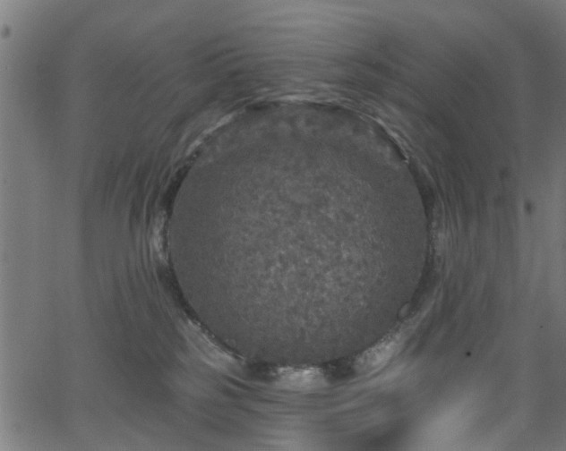 X0000066010185200603061307