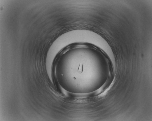 X0000066010186200603061307