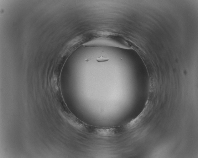 X0000066010187200603061307