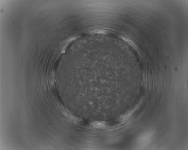 X0000066010189200603061307