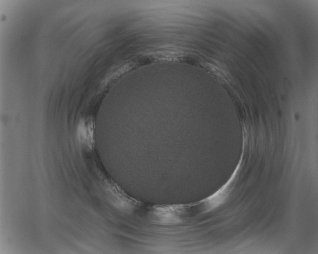 X0000066010190200603061307