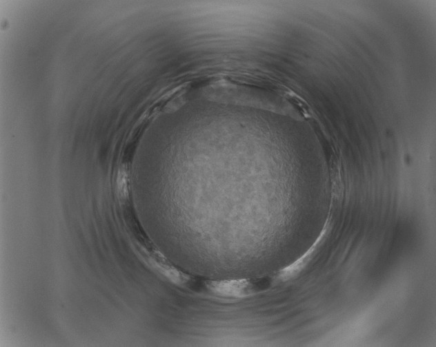 X0000066010191200603061307