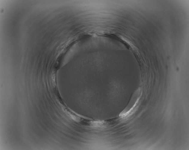 X0000066010192200603061307