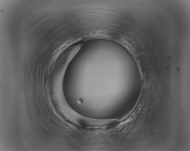 X0000066010193200603061306