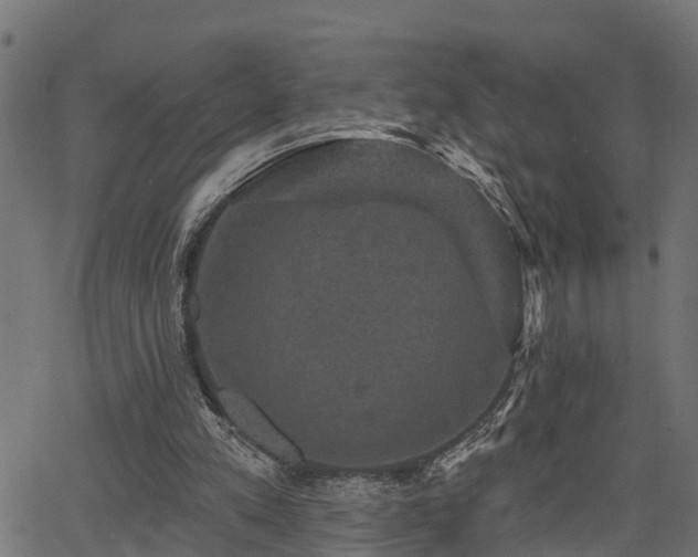 X0000066010197200603061306