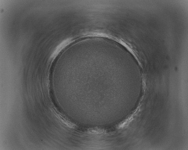 X0000066010199200603061306