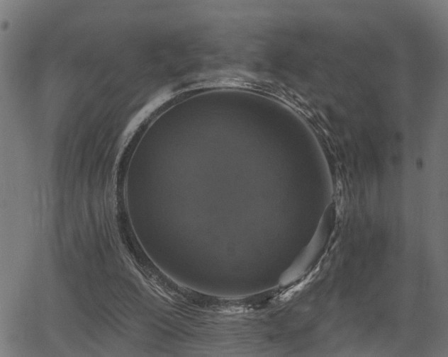 X0000066010200200603061306