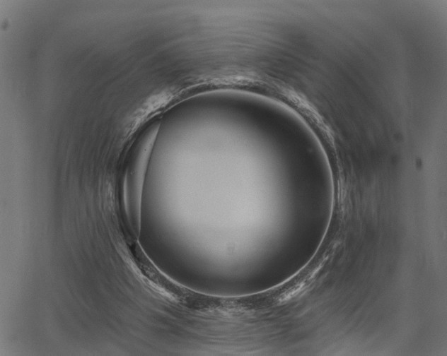 X0000066010201200603061306