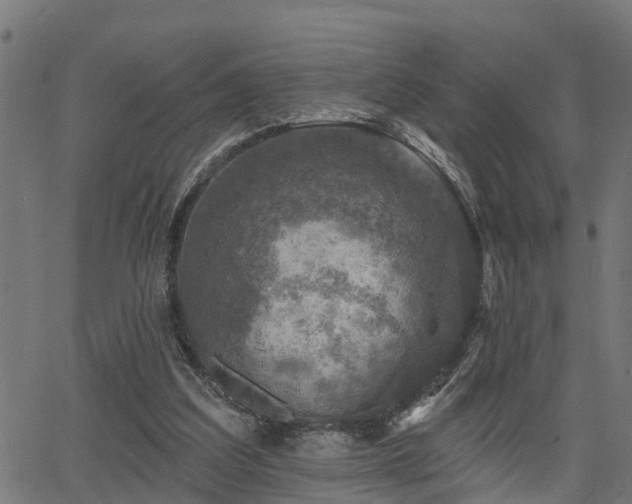 X0000066010203200603061306