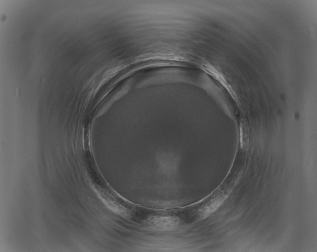 X0000066010205200603061306