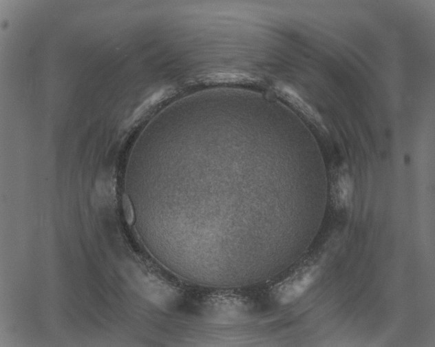 X0000066010207200603061306