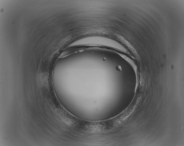 X0000066010209200603061306