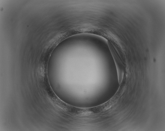 X0000066010210200603061306