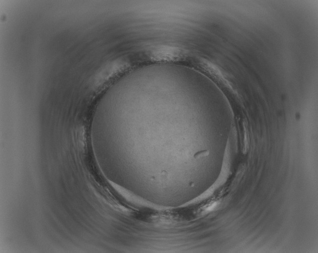 X0000066010211200603061306