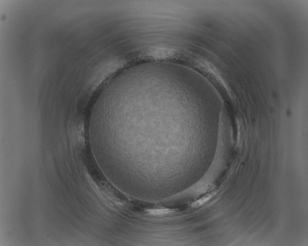 X0000066010212200603061306