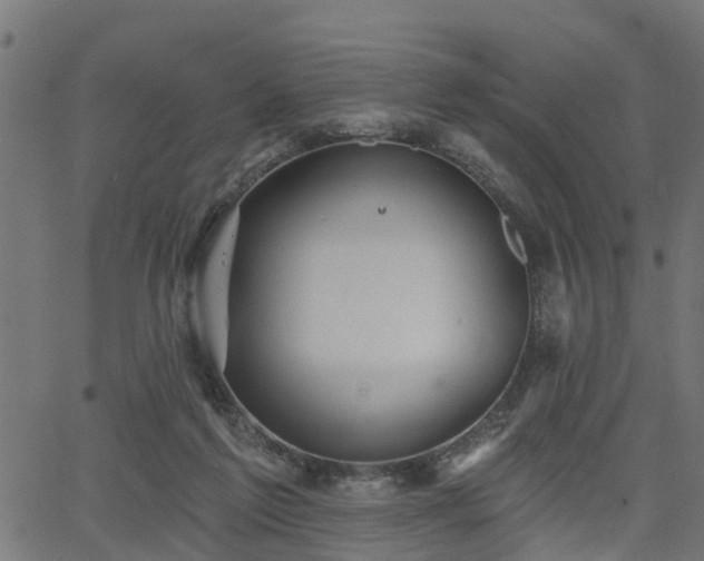 X0000066010213200603061306