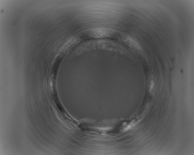 X0000066010214200603061306