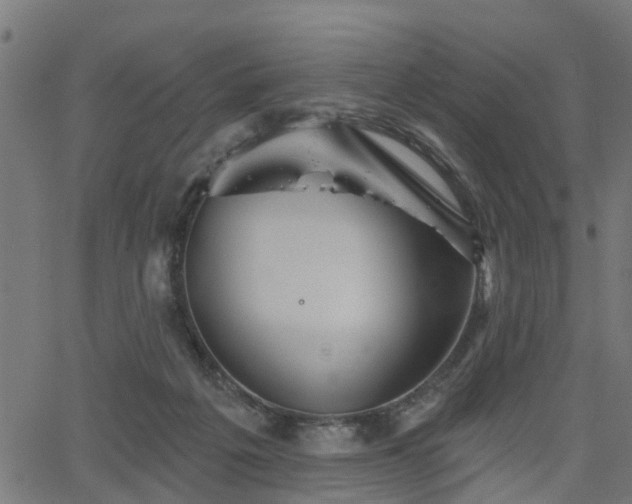 X0000066010217200603061306