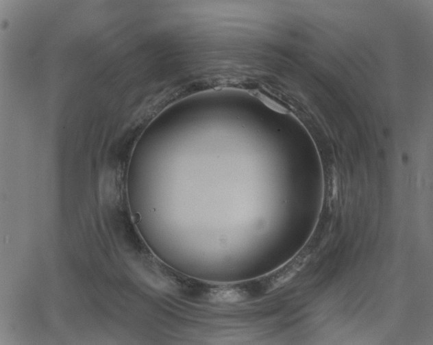 X0000066010218200603061305