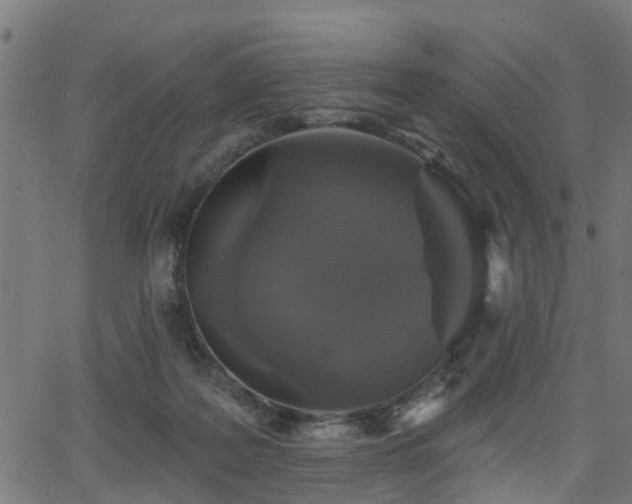 X0000066010219200603061305