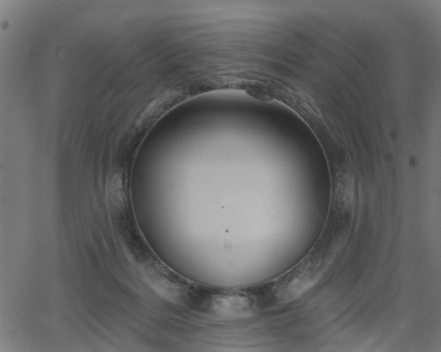 X0000066010220200603061305