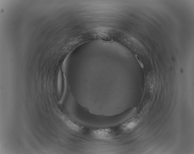 X0000066010223200603061305