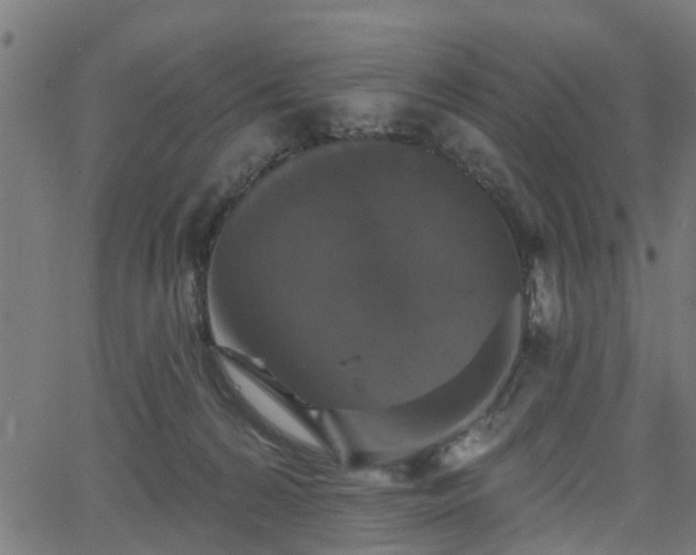 X0000066010224200603061305