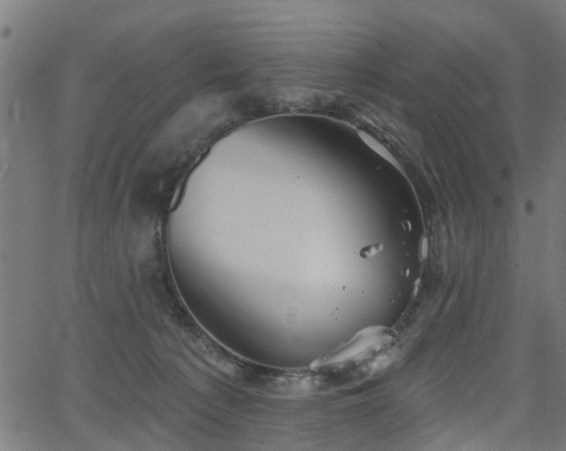 X0000066010225200603061305