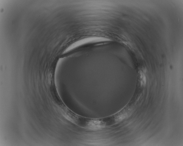 X0000066010227200603061305