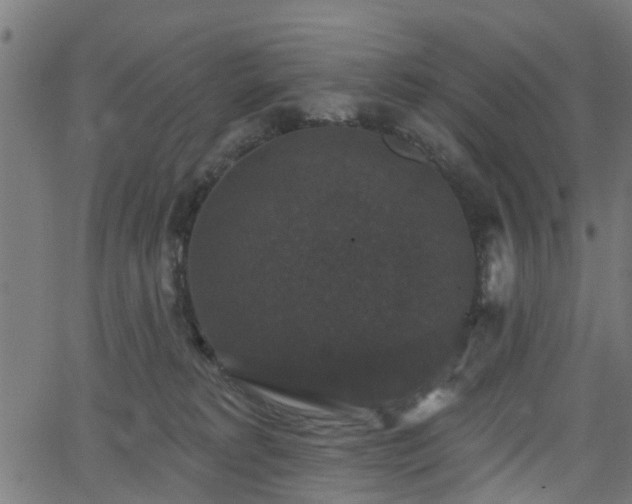 X0000066010229200603061305