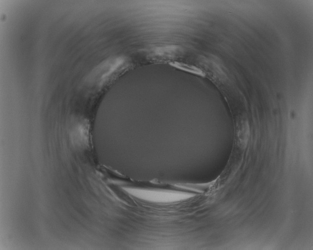 X0000066010231200603061305