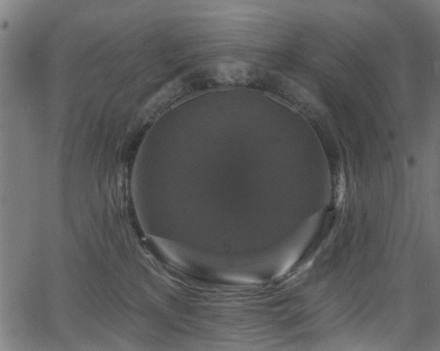 X0000066010233200603061305