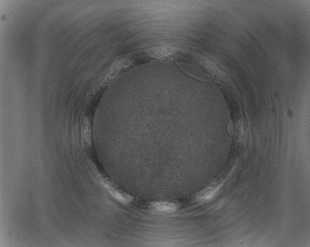 X0000066010234200603061305