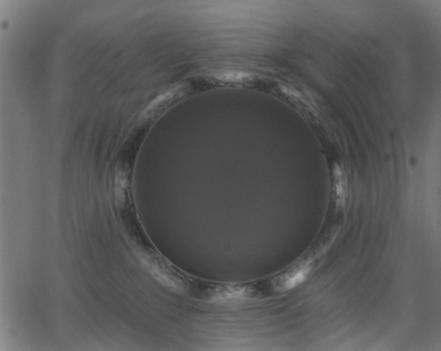 X0000066010235200603061305