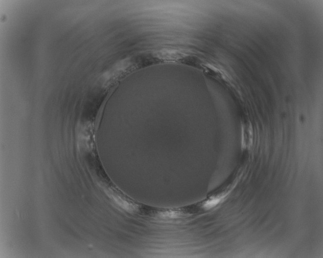 X0000066010237200603061305