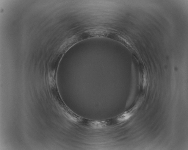 X0000066010239200603061305