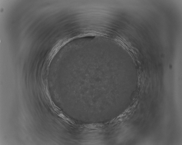 X0000066010241200603061304