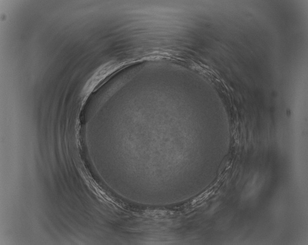 X0000066010242200603061304