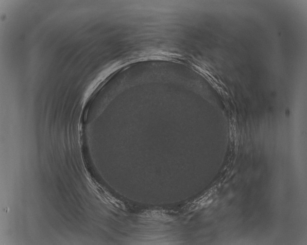 X0000066010244200603061304