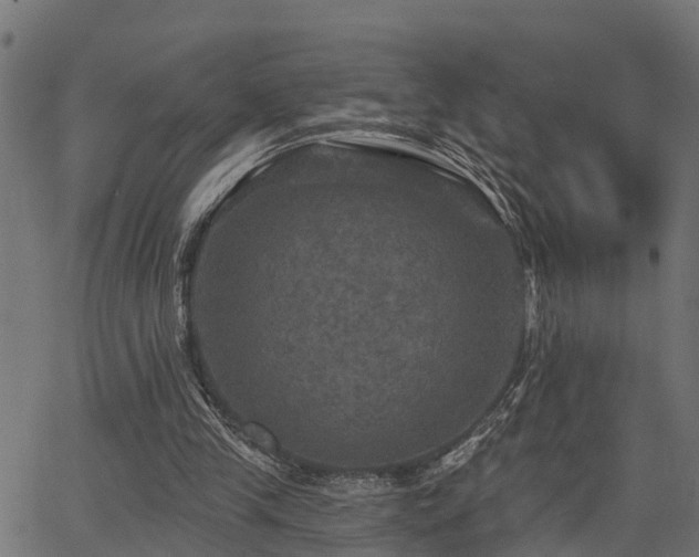 X0000066010245200603061304