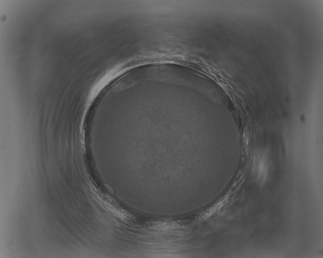 X0000066010246200603061304