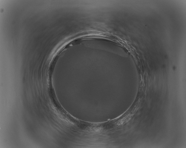 X0000066010247200603061304