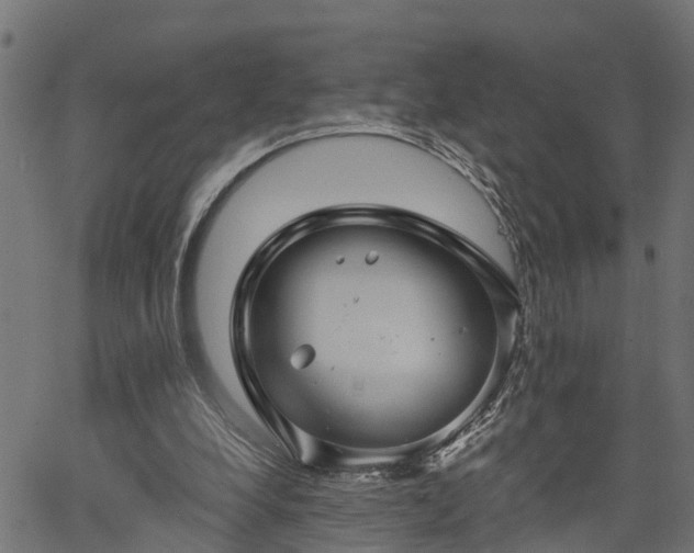 X0000066010248200603061304