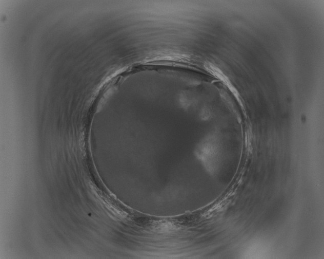 X0000066010249200603061304