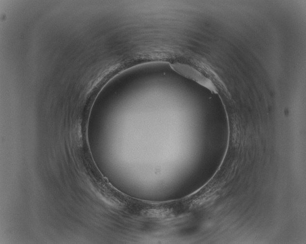 X0000066010251200603061304