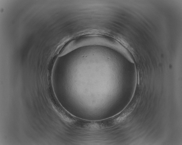 X0000066010253200603061305