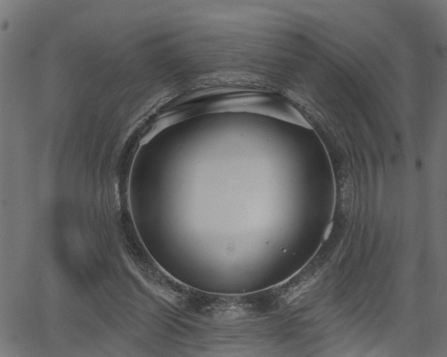 X0000066010254200603061305