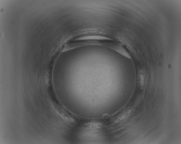 X0000066010255200603061305