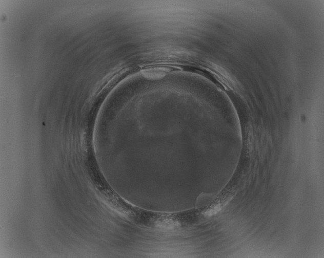 X0000066010258200603061305