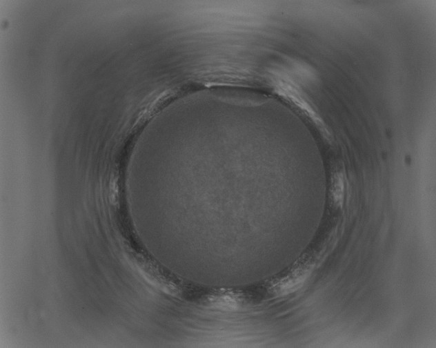 X0000066010259200603061305